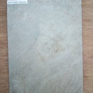 Autumn Cream Granite