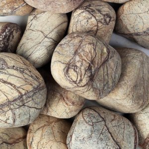 Rainforest Brown Pebbles