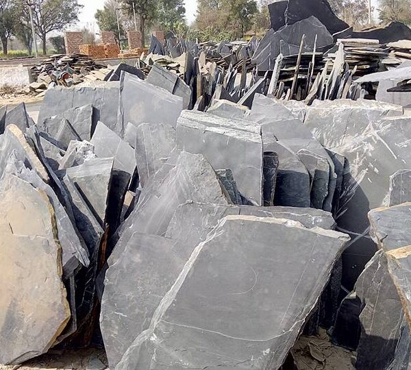 Jack Black Slate Crazy