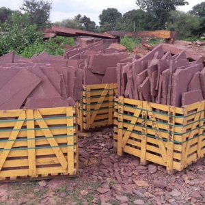 Mandana Red Random Crazy