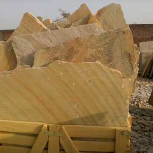 Mint Fossil Random Crazy 01