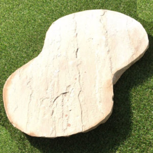 NSD Stepping Stone 02