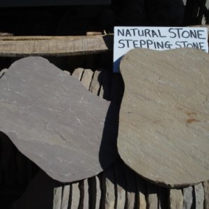 NSD Stepping Stone 06