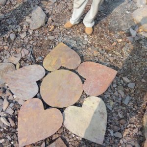 NSD Stepping Stone 19