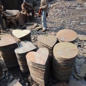 NSD Stepping Stone 20