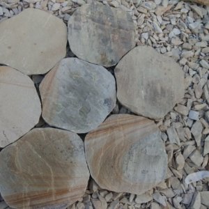 NSD Stepping Stone 21