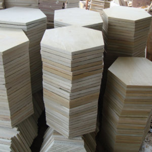 NSD Stepping Stone 22