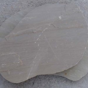 NSD Stepping Stone 28