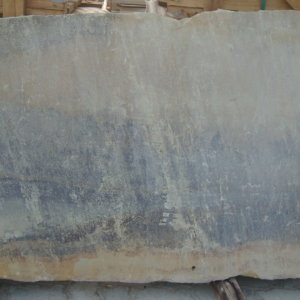 Slab Fossil Sandstone