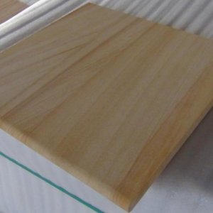 Teakwood Sandstone Bullnosed Tile